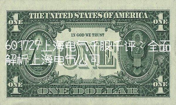 601727上海电气千股千评：全面解析上海电气公司