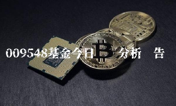 009548基金今日净值分析报告