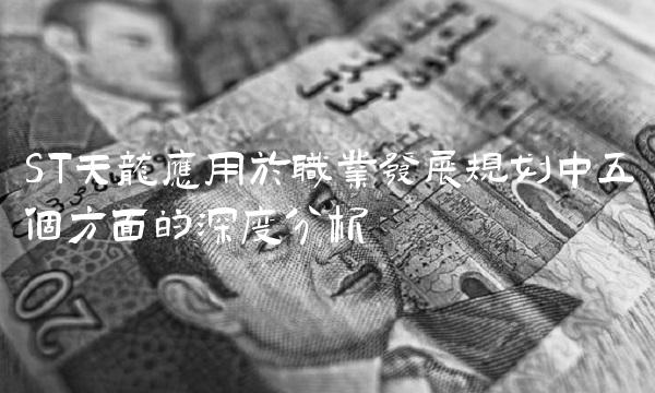 ST天龙应用于职业发展规划中五个方面的深度分析