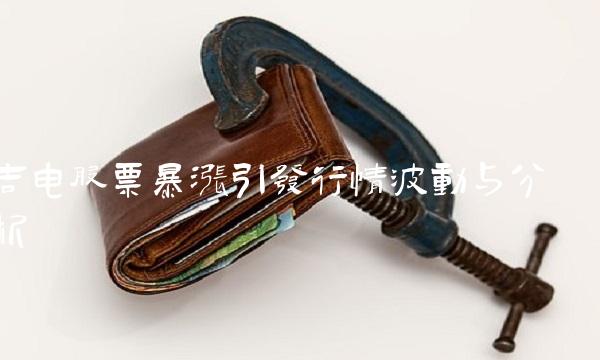 吉电股票暴涨引发行情波动与分析