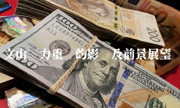 文山电力重组的影响及前景展望