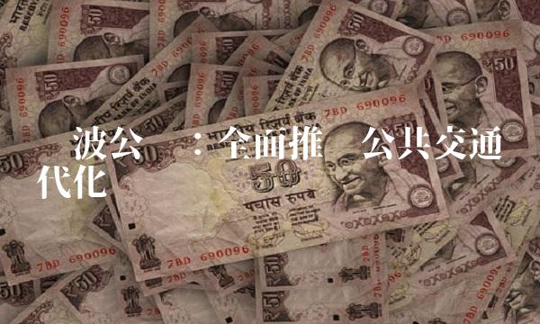 宁波公运：全面推进公共交通现代化