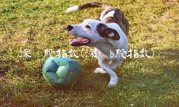 深圳股指数(深圳b股指数)