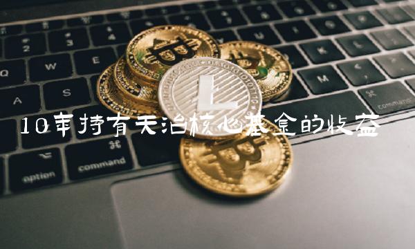 10年持有天治核心基金的收益