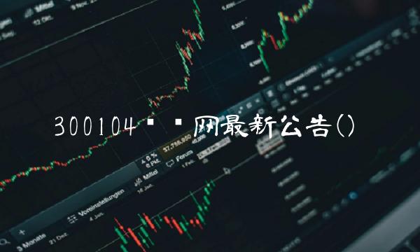 300104乐视网最新公告()(1)