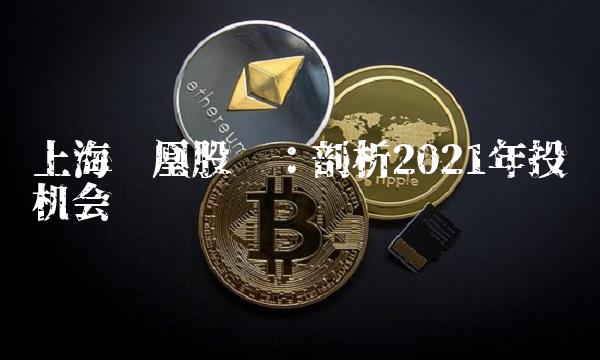 上海凤凰股吧：剖析2021年投资机会