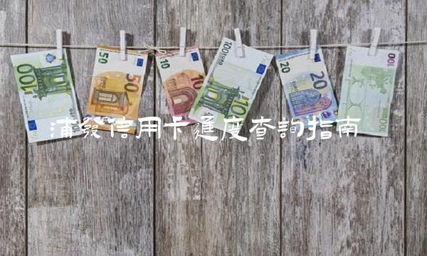 浦发信用卡进度查询指南