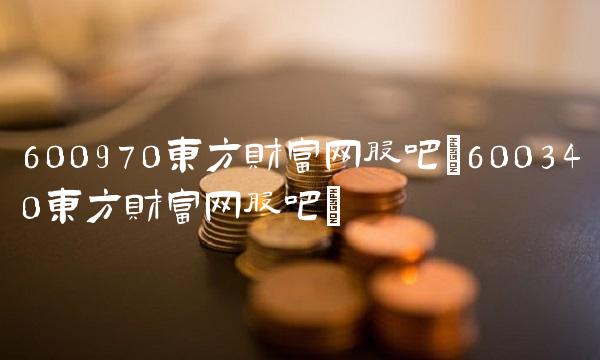 600970东方财富网股吧(600340东方财富网股吧)