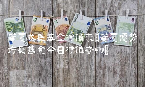 华夏成长基金净值表(华夏优势增长基金今日净值查询)