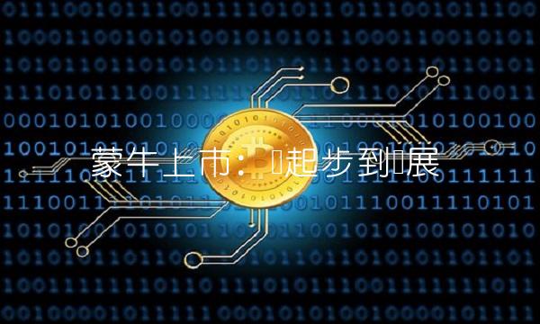 蒙牛上市：从起步到发展