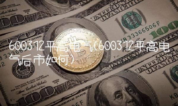 600312平高电气(600312平高电气后市如何)