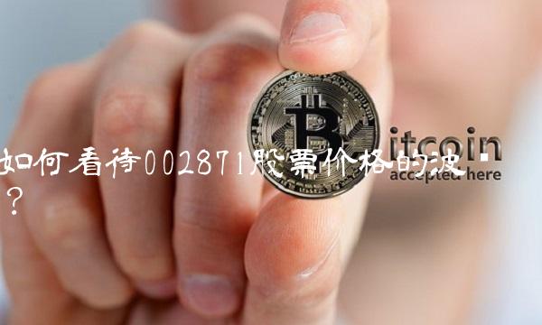 如何看待002871股票价格的波动？