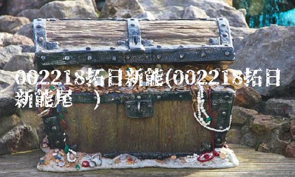 002218拓日新能(002218拓日新能尾盘)