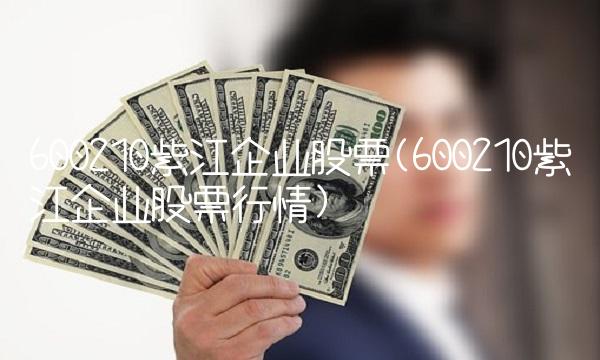 600210紫江企业股票(600210紫江企业股票行情)