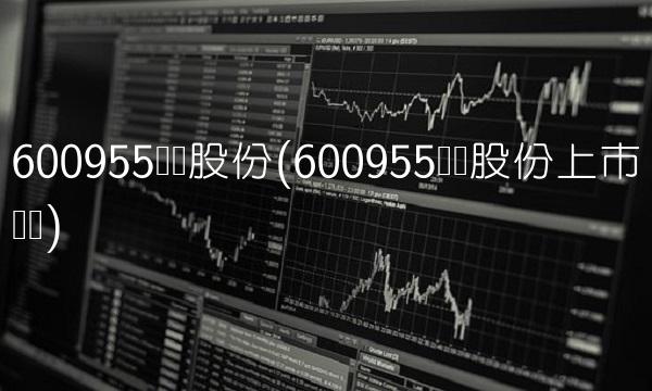 600955维远股份(600955维远股份上市时间)