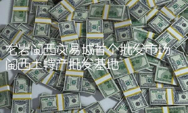 龙岩闽西交易城首个批发市场——闽西土特产批发基地