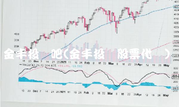 金丰投资吧(金丰投资股票代码)