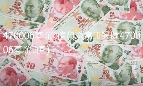 470006基金净值(汇添富医药保健470006基金净值)