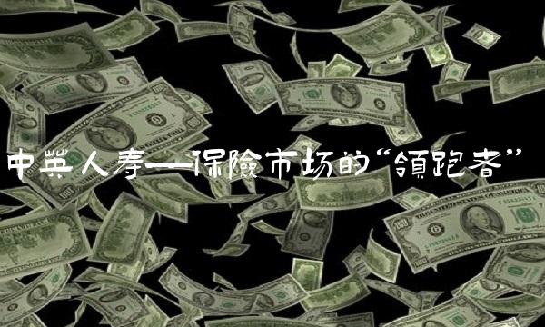 中英人寿——保险市场的领跑者