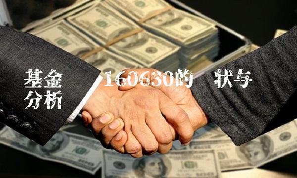 基金净值160630的现状与趋势分析