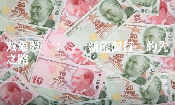 双象股份：开创新能源行业的先锋之路