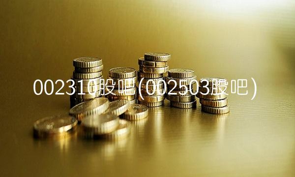 002310股吧(002503股吧)