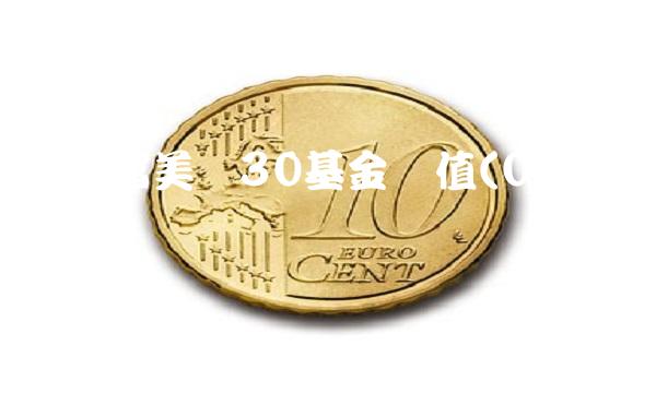 汇添富美丽30基金净值(0;3;0;0)