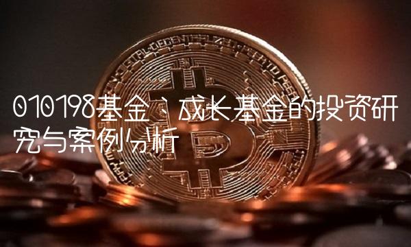 010198基金：成长基金的投资研究与案例分析