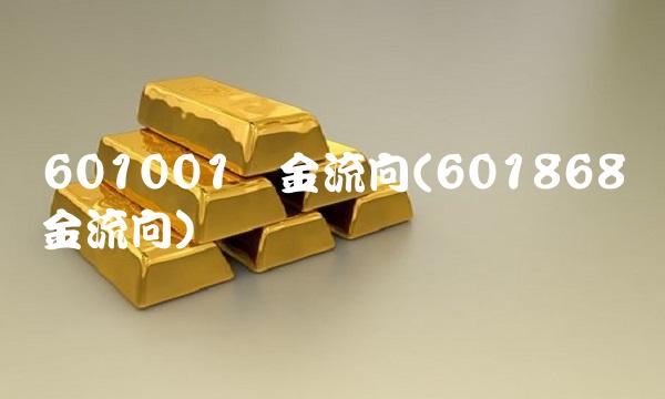 601001资金流向(601868资金流向)