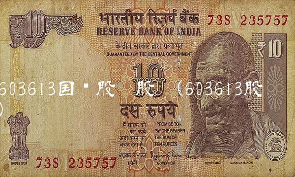 603613国联股份股吧(603613股吧)