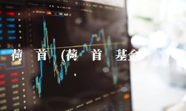 荷银首选(荷银首选基金净值)