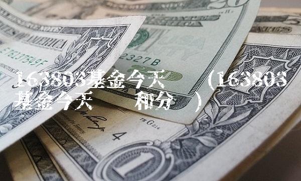 163803基金今天净值(163803基金今天净值和分红)