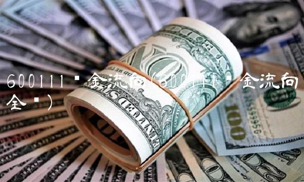 600111资金流向(600111资金流向全览)