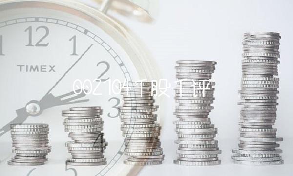 002104千股千评