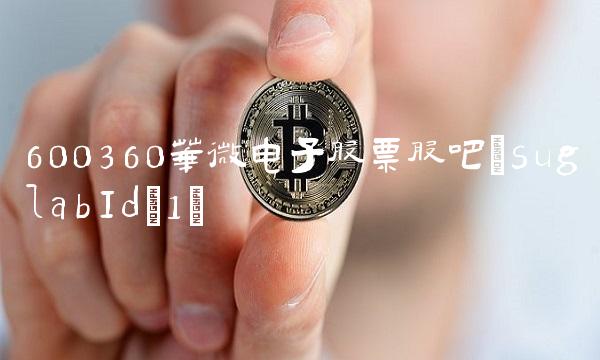 600360华微电子股票股吧(suglabId_1)