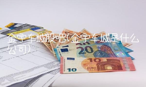 金宇车城股吧(金宇车城是什么公司)