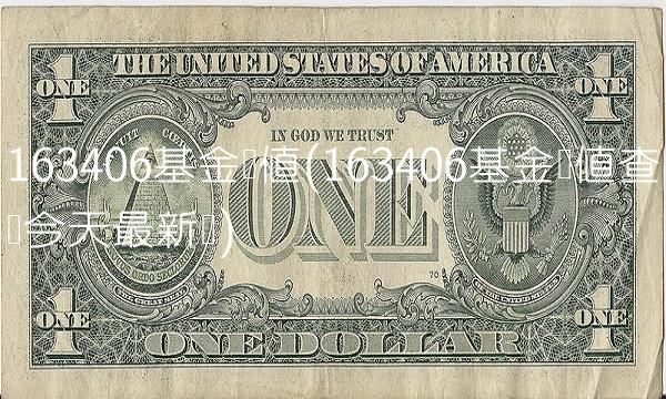 163406基金净值(163406基金净值查询今天最新净)