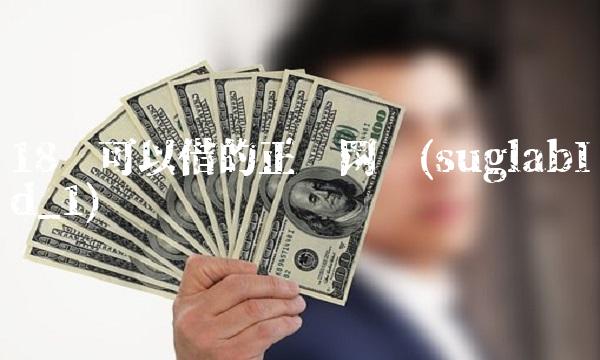 18岁可以借的正规网贷(suglabId_1)