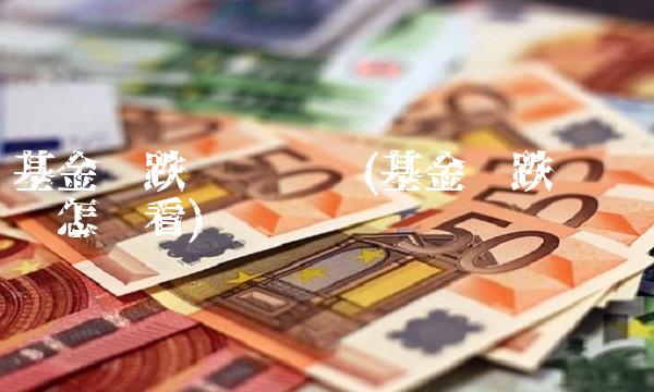 基金涨跌实时查询(基金涨跌实时查询怎么看)
