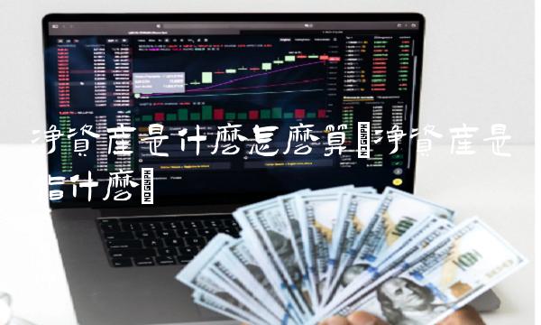 净资产是什么怎么算(净资产是指什么)