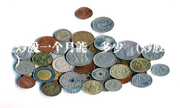 元炒股一个月能赚多少钱(炒股一块钱)