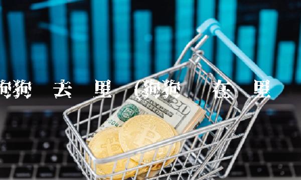 狗狗币去哪里买(狗狗币 在哪里买)