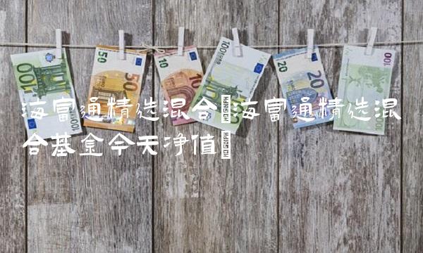 海富通精选混合(海富通精选混合基金今天净值)