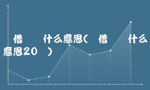 随借随还什么意思(随借随还什么意思20万)