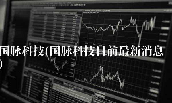 国脉科技(国脉科技目前最新消息)