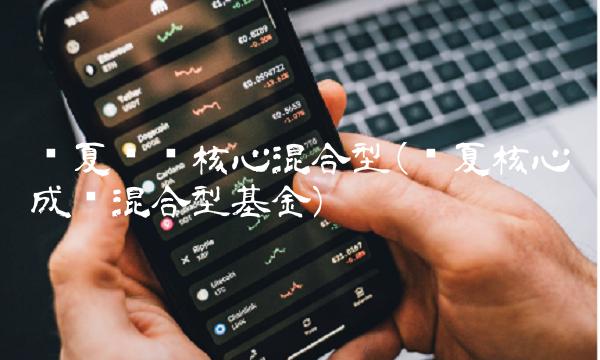 华夏蓝筹核心混合型(华夏核心成长混合型基金)