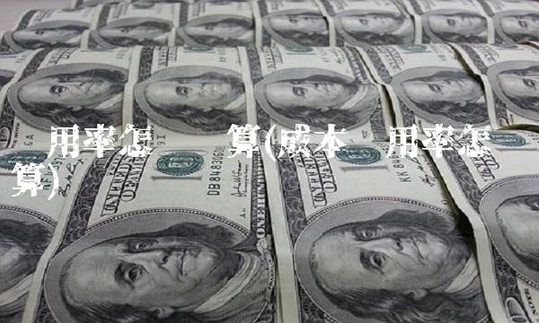 费用率怎么计算(成本费用率怎么计算)