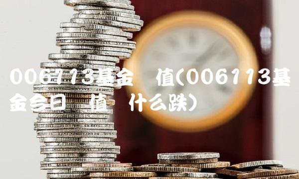 006113基金净值(006113基金今日净值为什么跌)