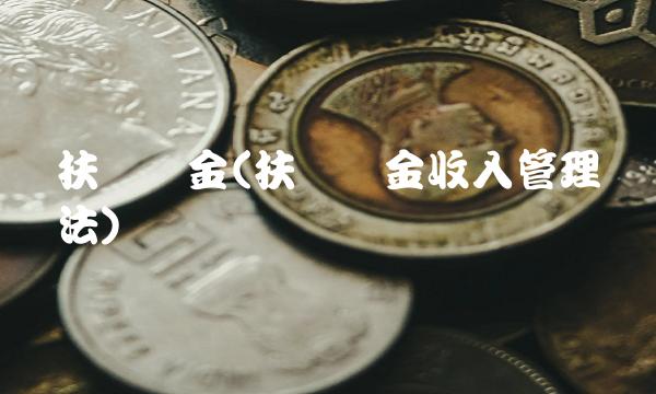 扶贫资金(扶贫资金收入管理办法)