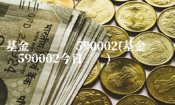 基金净值查询590002(基金净值查询590002今日净值)
